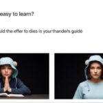 is 2579xao6 easy to learn